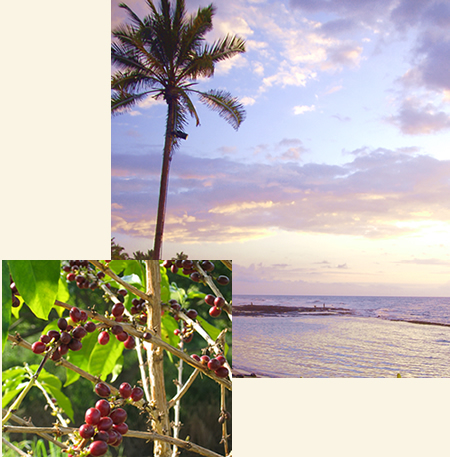 Kona Coffee